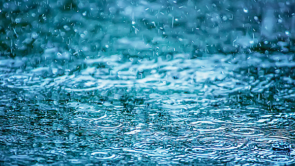 今天是大暑节气,北京有分散性雷阵雨,最高气温29℃ 今天是大暑节气,北京有分散性雷阵雨,最高气温29℃