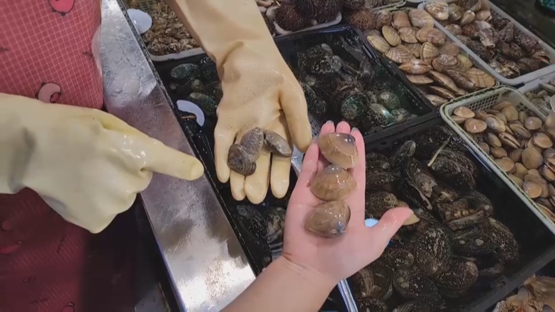 逛海鲜市场别乱买!这几款贝类正当季 逛海鲜市场别乱买!这几款贝类正当季