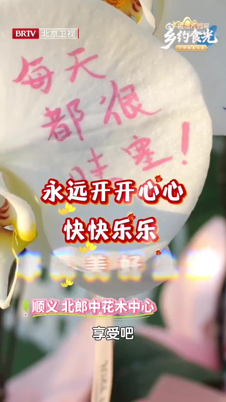 顺义北郎中花木中心藏着新春浪漫！凯丽姐把美好祝愿藏进最爱的蝴蝶兰