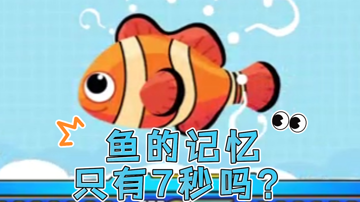 鱼的记忆只有7秒吗？快来揭秘鱼的记忆真相！