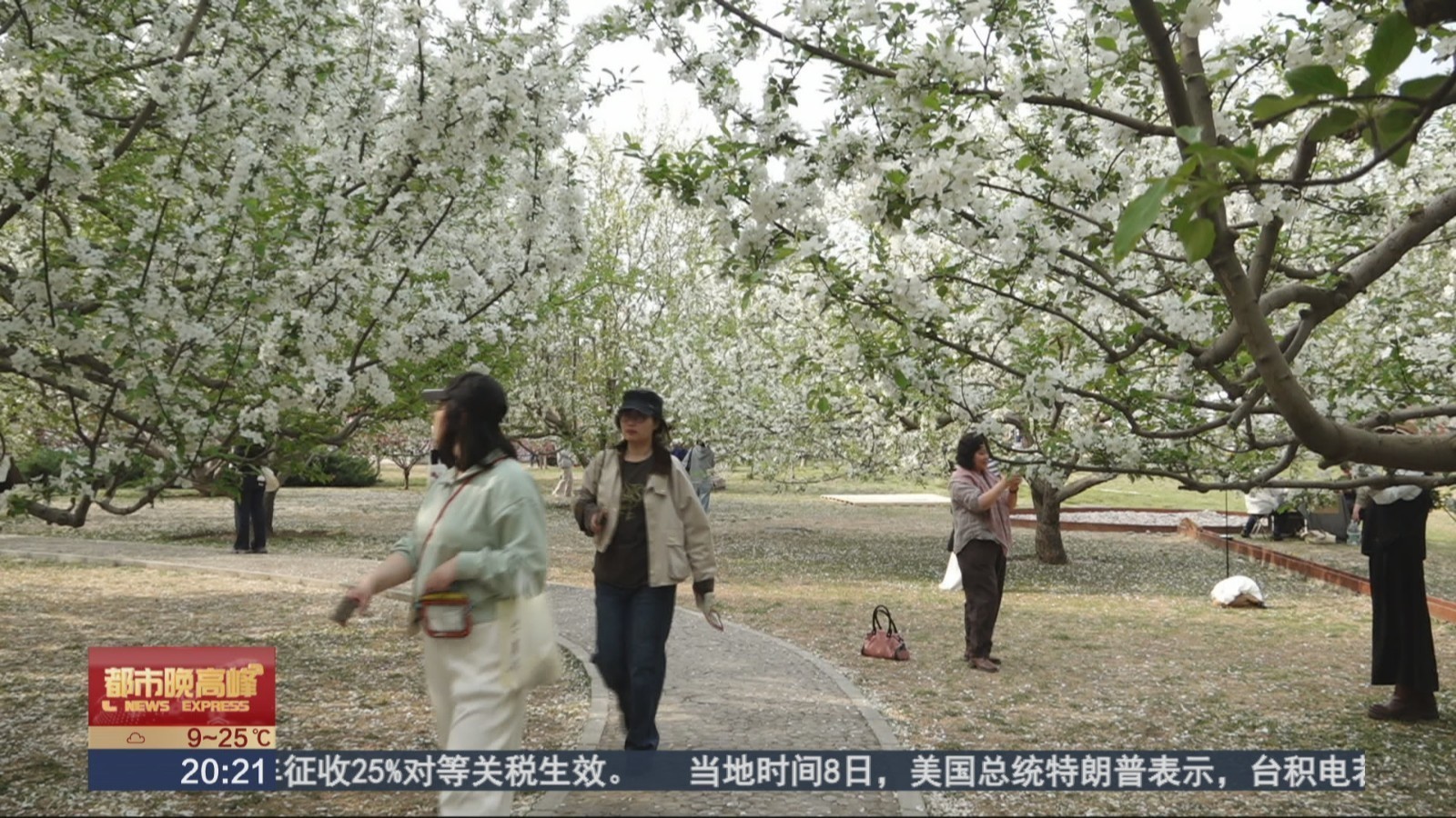朝阳花园节打造北京首批公园生活场景 朝阳花园节打造北京首批公园生活场景