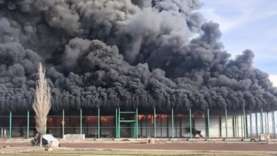 伊朗一处冷库发生火灾