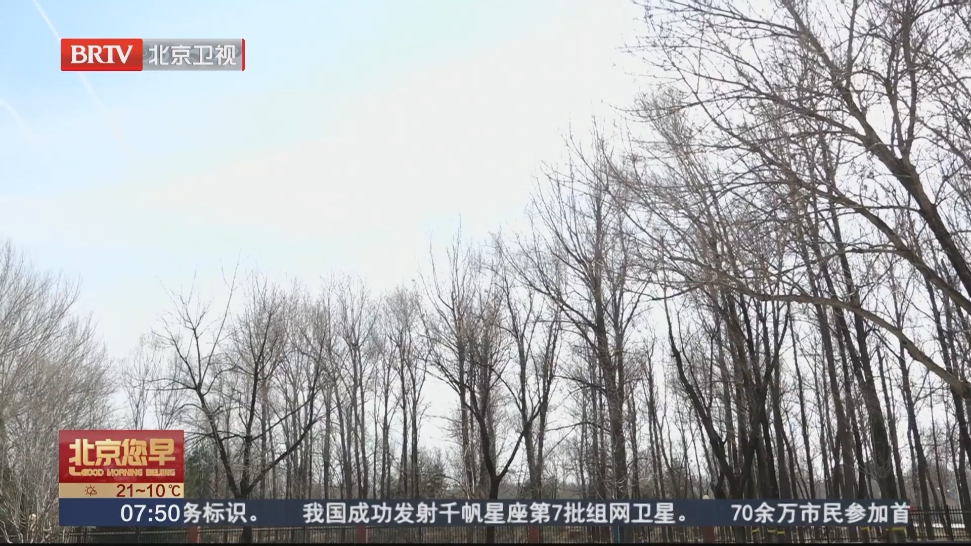 飞絮季开启 北方多地开始杨柳絮飘飞 北京上新治理杨柳飞絮新技术