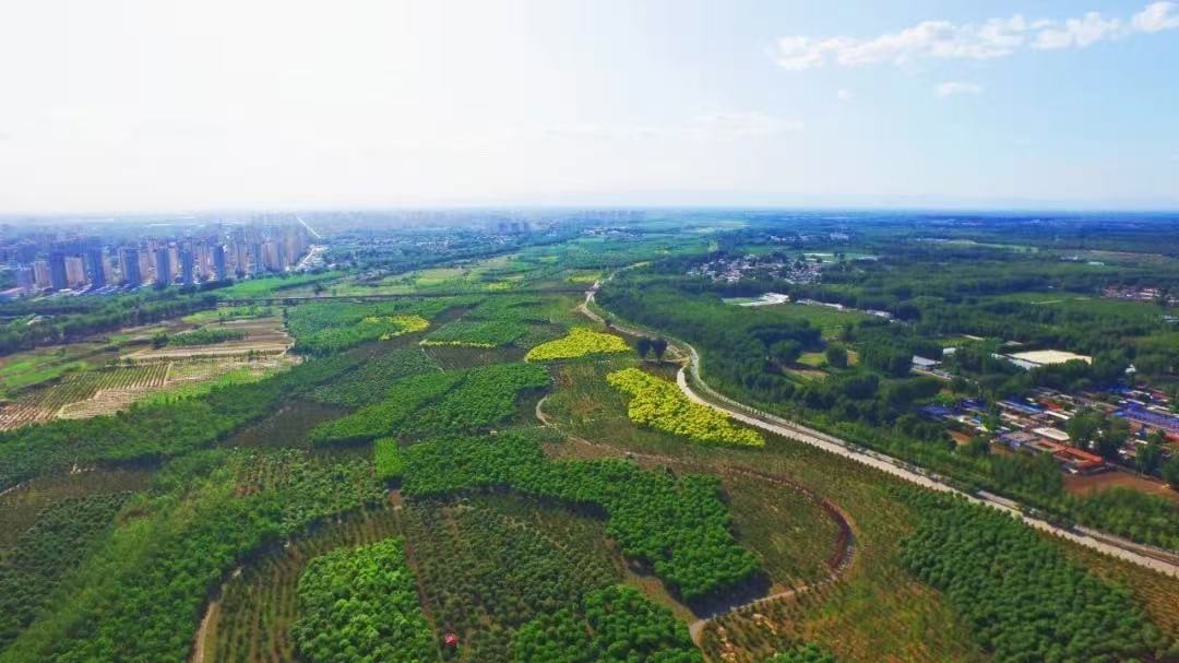 京南“绿镇”牵手农科院 林下经济开启加速度