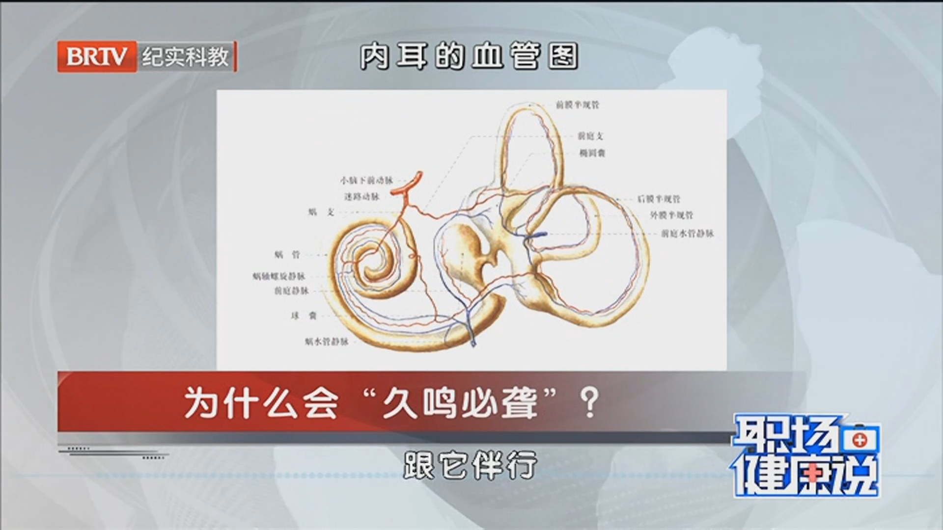 《职场健康说》20260325耳鸣——“身体的求救信号” 《职场健康说》20260325耳鸣——“身体的求救信号”