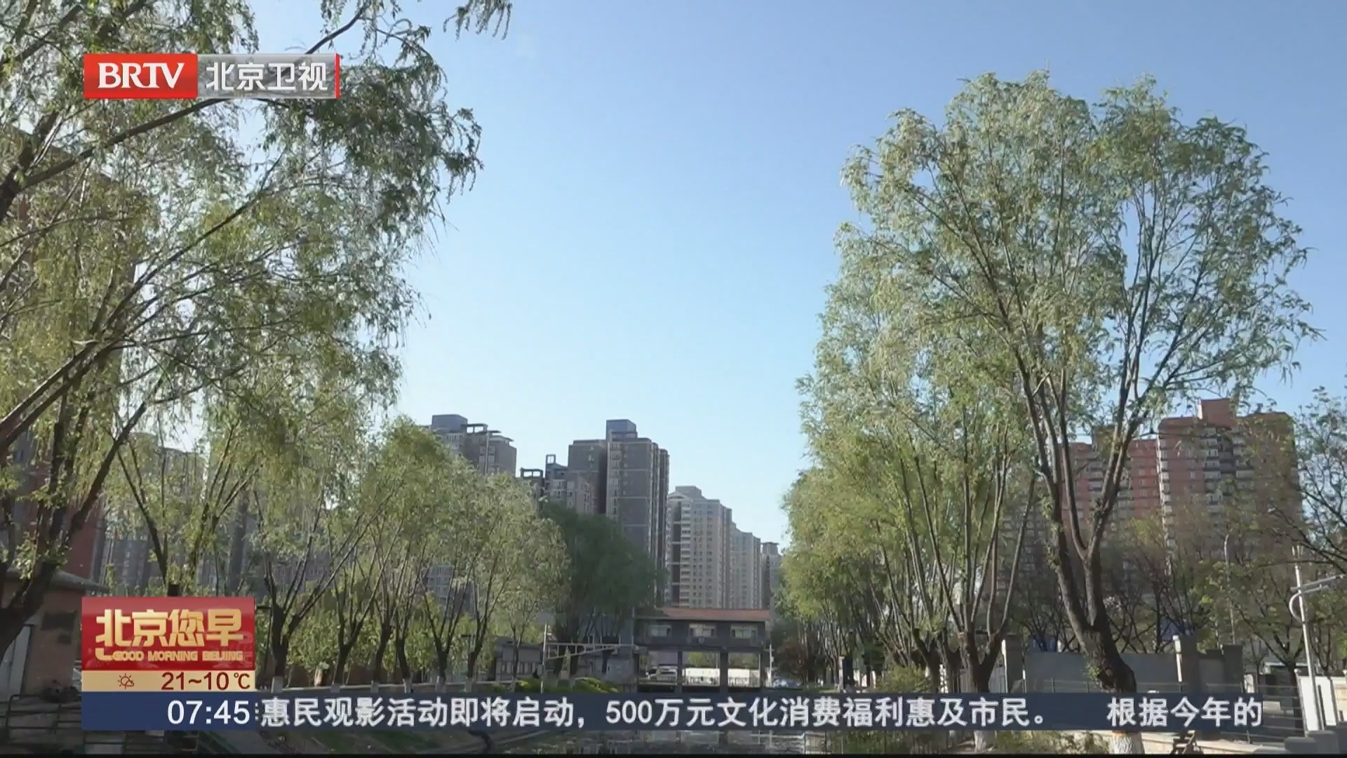 飞絮季开启 北方多地开始杨柳絮飘飞 这份“防絮攻略”请记好