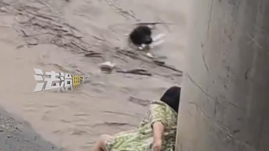 突发大水 狗狗被水冲跑 女子不顾危险站在岸边营救 突发大水 狗狗被水冲跑 女子不顾危险站在岸边营救