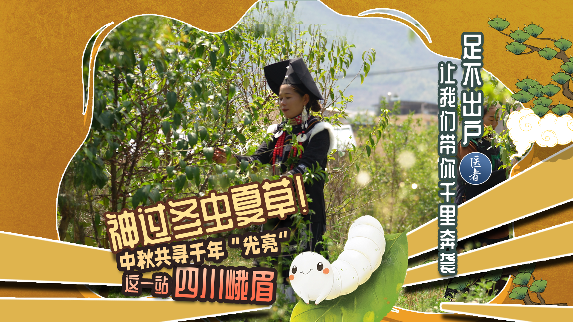 医者｜足不出户 让我们带你千里奔袭 四川峨眉中秋节共寻千年“光亮”