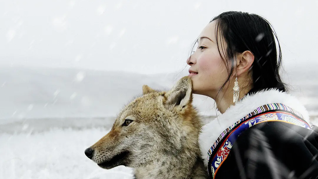 9.7分的国产片,埋没9年,突然火了 9.7分的国产片,埋没9年,突然火了