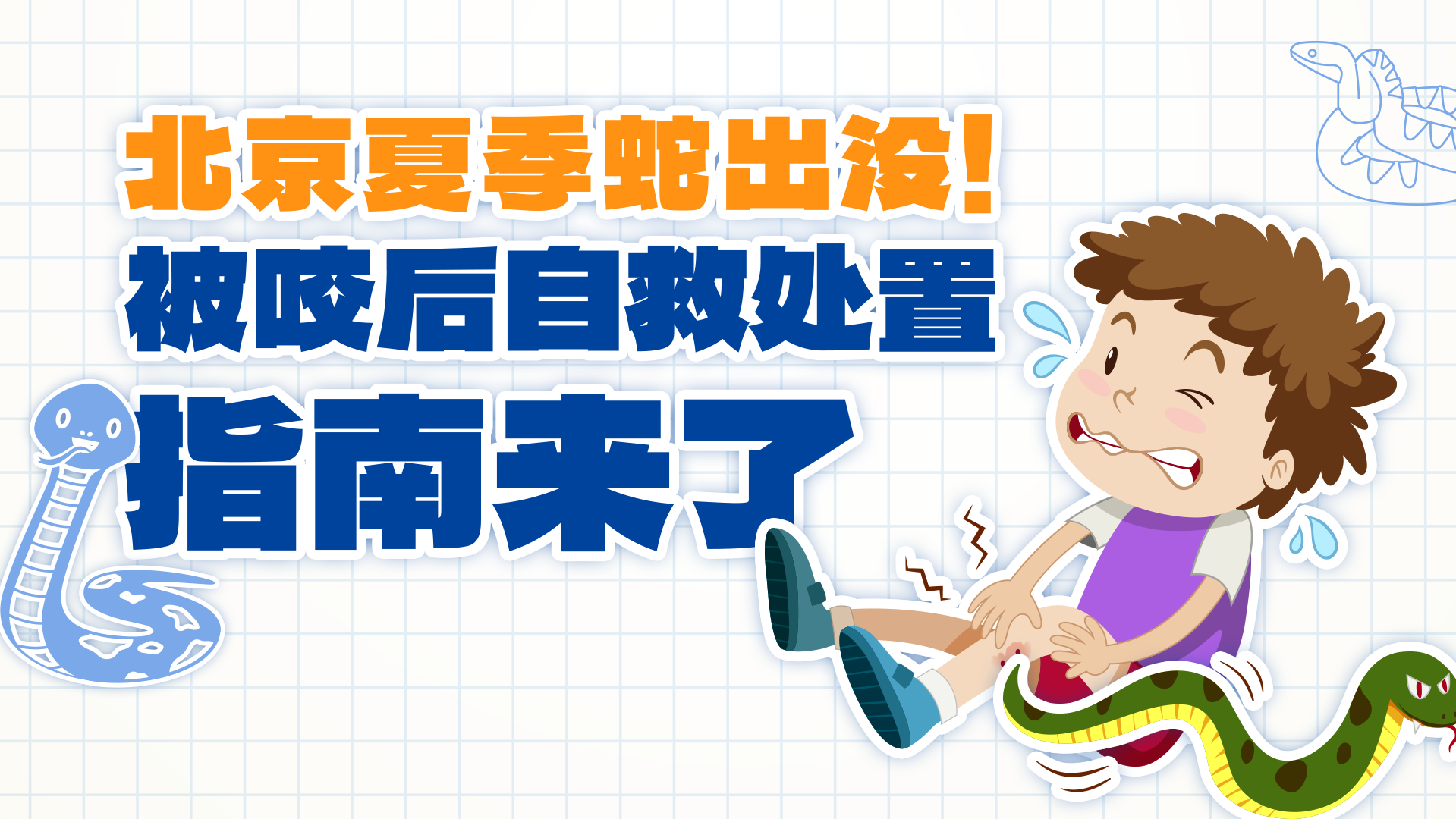 遇蛇千万不要慌,牢记“四要”“四不要”→ 遇蛇千万不要慌,牢记“四要”“四不要”→