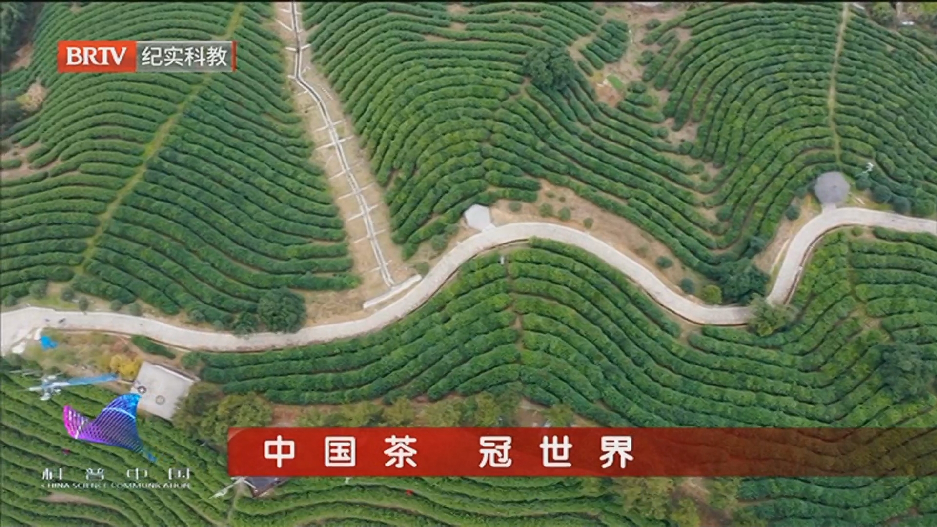 《科普中国·直击最前沿》20240818中国茶 冠世界