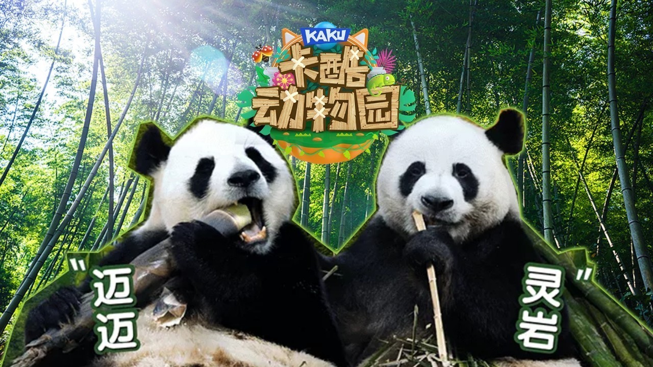 少儿户外动物直播《卡酷动物园》萌萌的迈迈和灵岩TA们来了! 少儿户外动物直播《卡酷动物园》萌萌的迈迈和灵岩TA们来了!