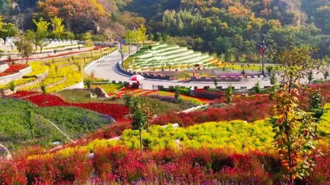 11月1日自行车赛燃动黄松峪！赏山水、住山野，解锁平谷秋日盛宴