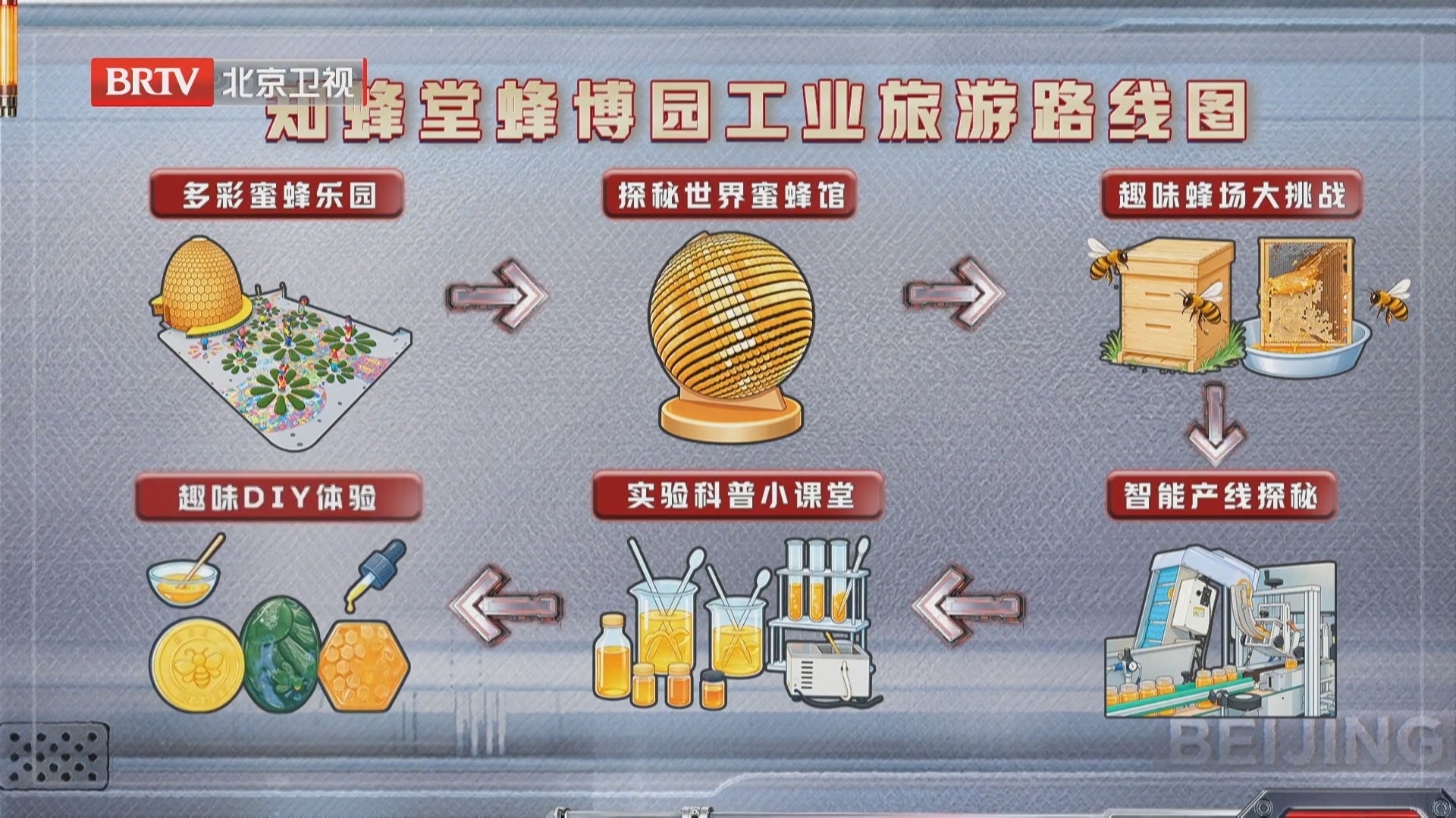 知蜂堂蜂博园工业旅游路线图