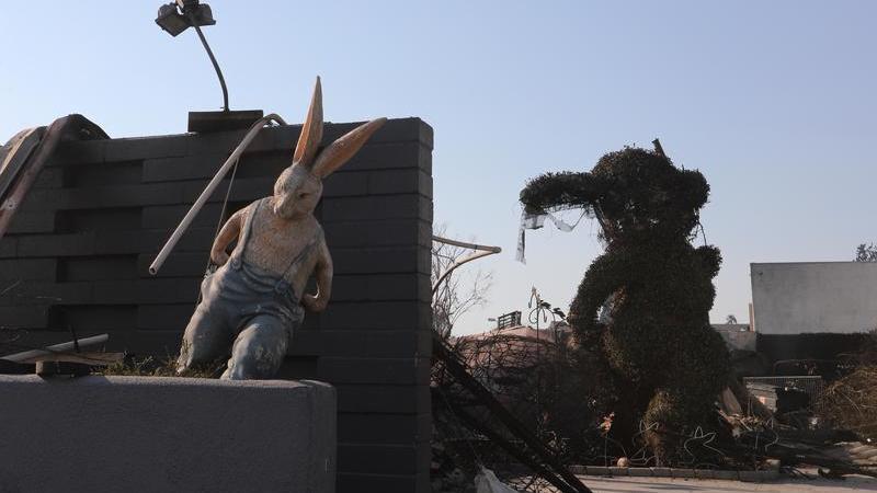 洛杉矶山火持续肆虐，热心人抓紧救动物