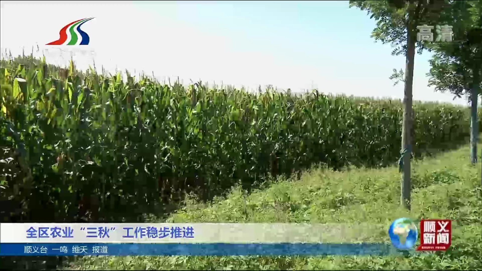 全区农业“三秋”工作稳步推进_北京时间