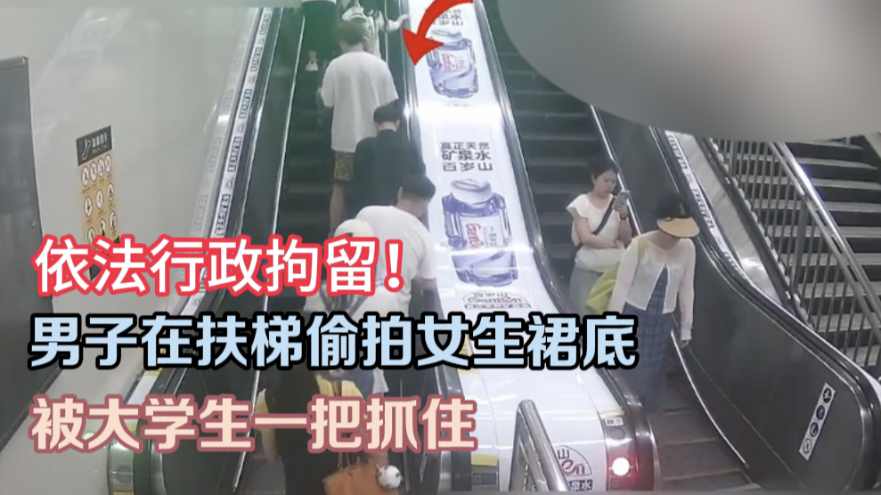 依法行政拘留!男子在扶梯偷拍女生裙底,被大学生一把抓住 依法行政拘留!男子在扶梯偷拍女生裙底,被大学生一把抓住