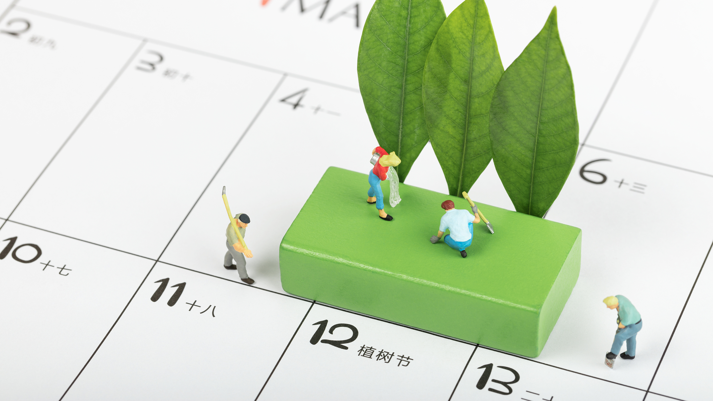 今天是植树节,北京市民应该如何尽责? 今天是植树节,北京市民应该如何尽责?