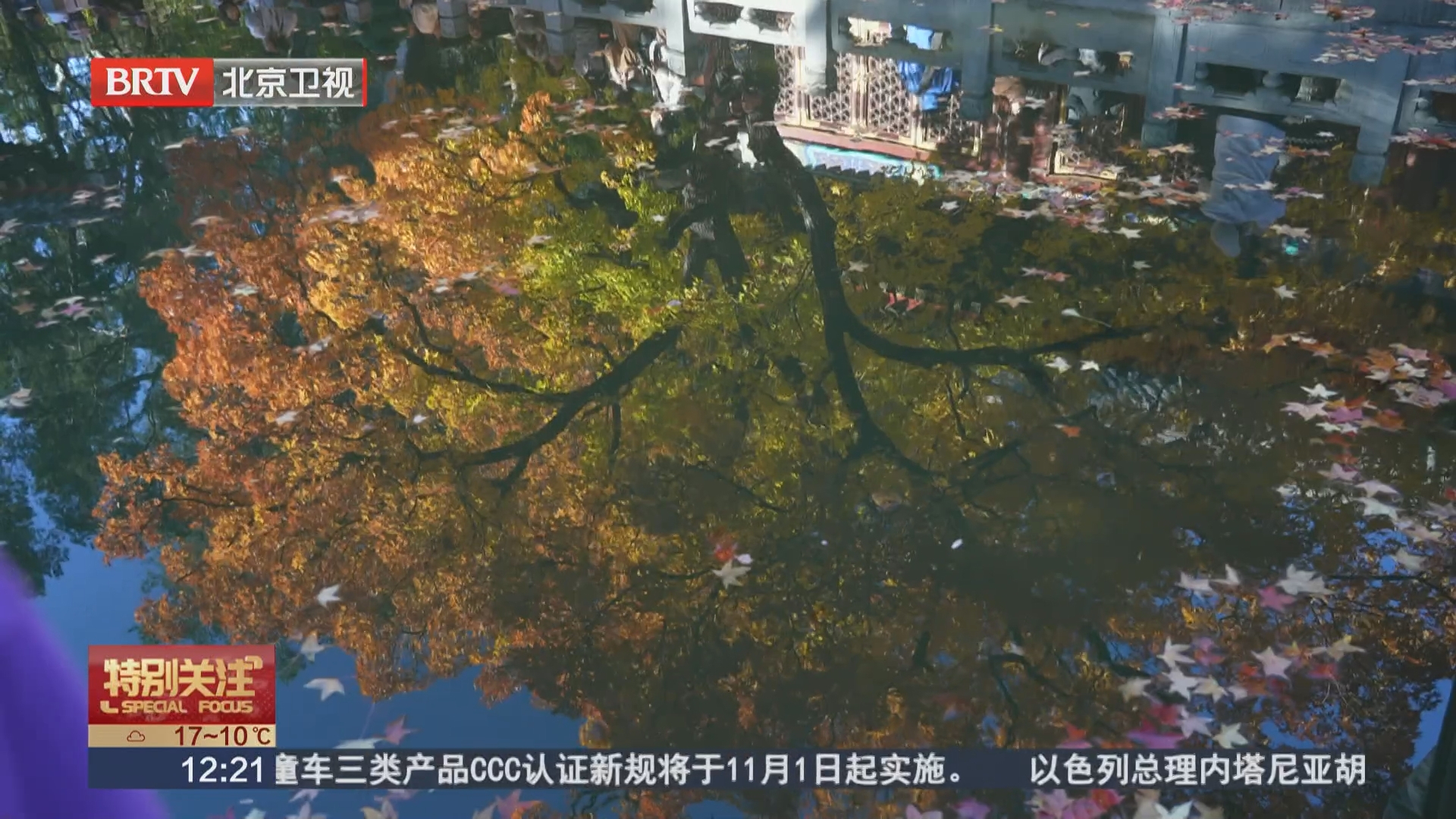 北京彩叶陆续进入最佳观赏时段