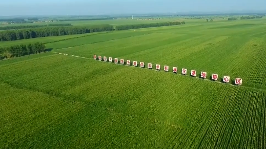 总书记的关切·落地的回响 | 保护黑土地 大国粮仓更稳固