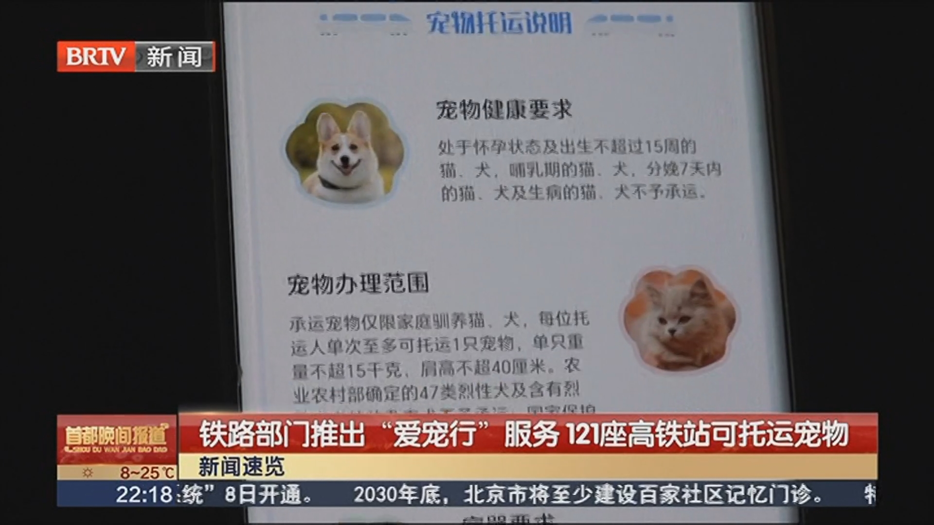 铁路部门推出“爱宠行”服务 121座高铁站可托运宠物