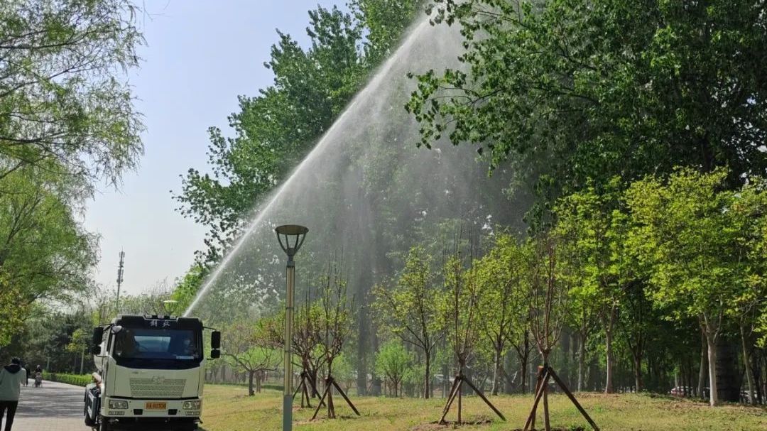 房山区提早部署杨柳飞絮防治工作，护航春日宜居环境