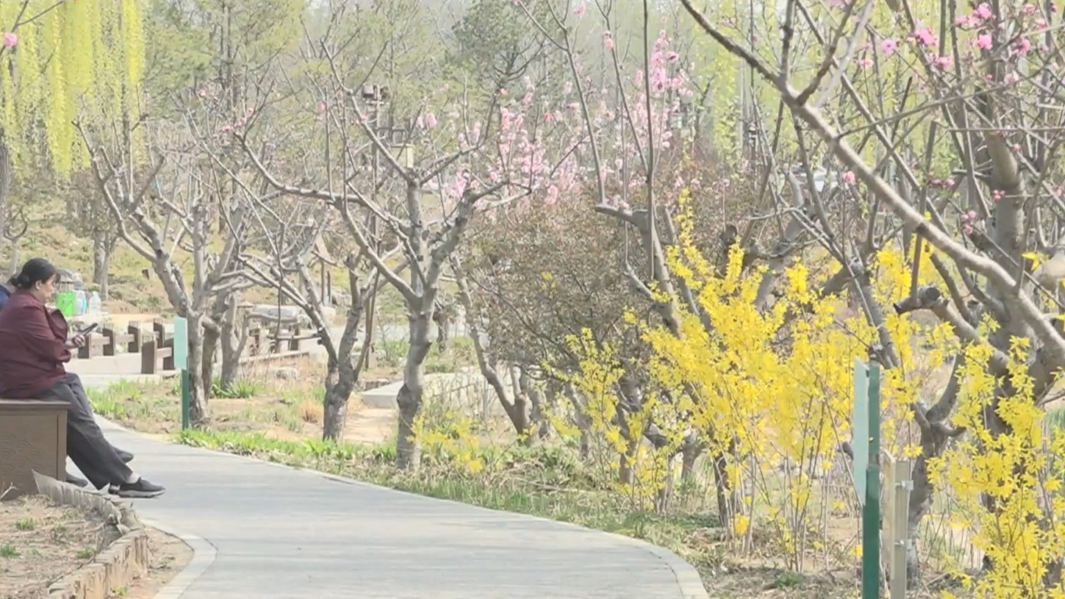 北京旅游休闲绿道春季赏花地图上线 北京旅游休闲绿道春季赏花地图上线