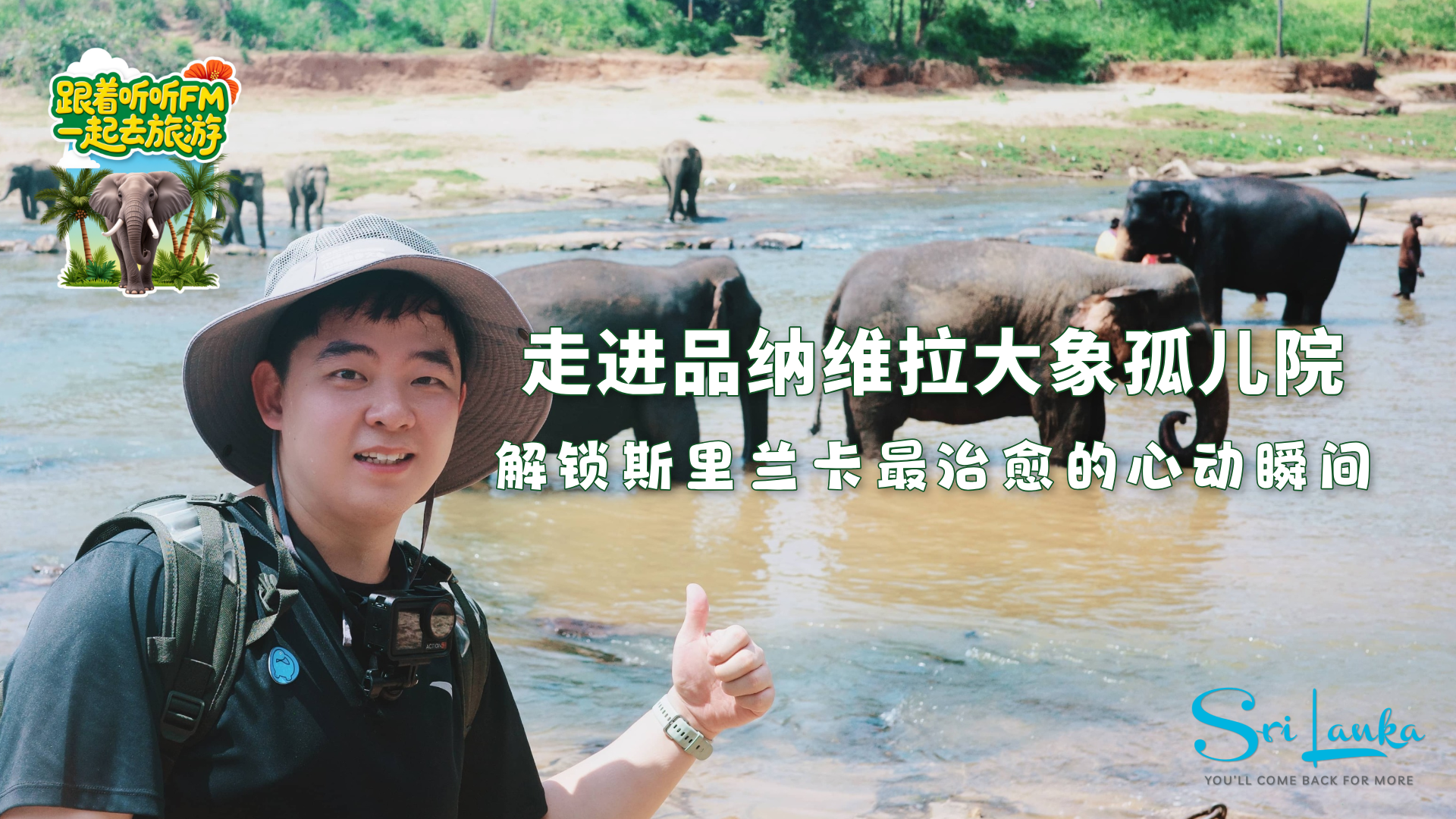 直飞斯里兰卡!探访世界上第一所大象孤儿院 直飞斯里兰卡!探访世界上第一所大象孤儿院