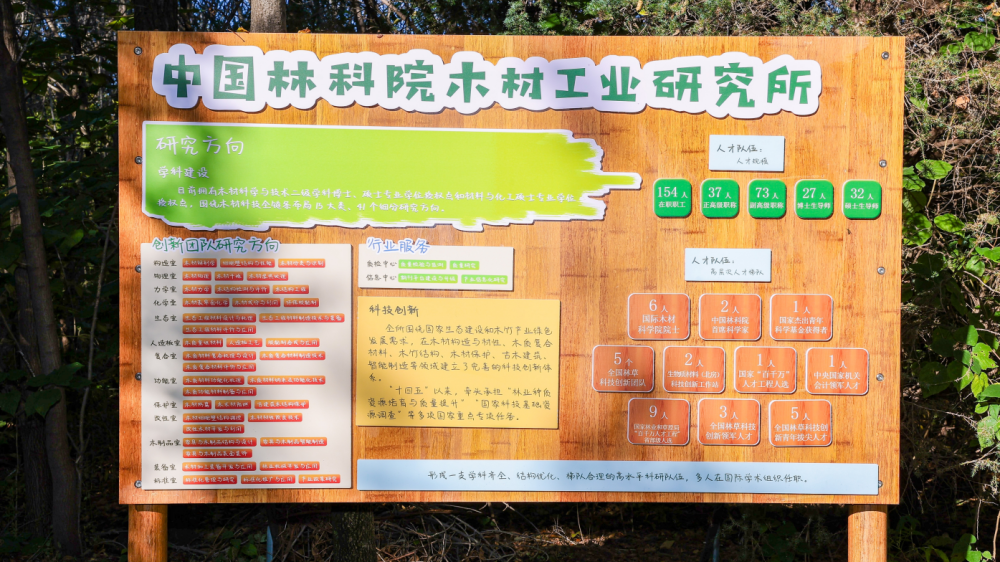 红枫林里有一个“博士林场”