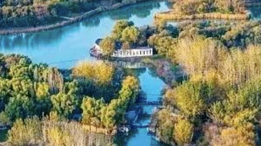 秋日逛奥森去哪打卡?玉簪花海、湖景芦苇全都有→ 秋日逛奥森去哪打卡?玉簪花海、湖景芦苇全都有→