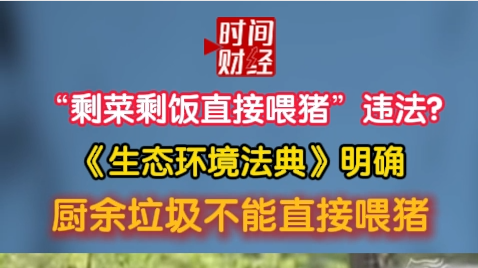 “剩菜剩饭直接喂猪”违法?《生态环境法典》明确厨余垃圾不能直接喂猪