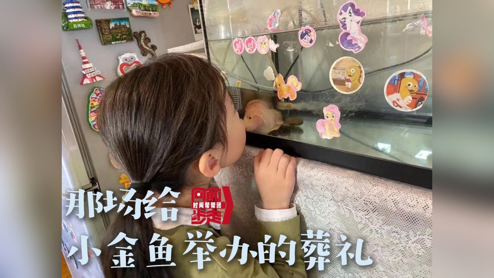 那场给小金鱼举办的葬礼