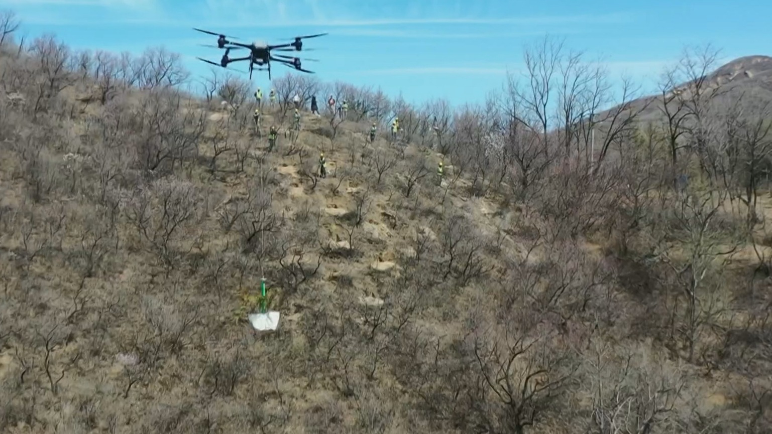 科技赋能“三北”工程:无人机运苗打通“空中走廊” 科技赋能“三北”工程:无人机运苗打通“空中走廊”