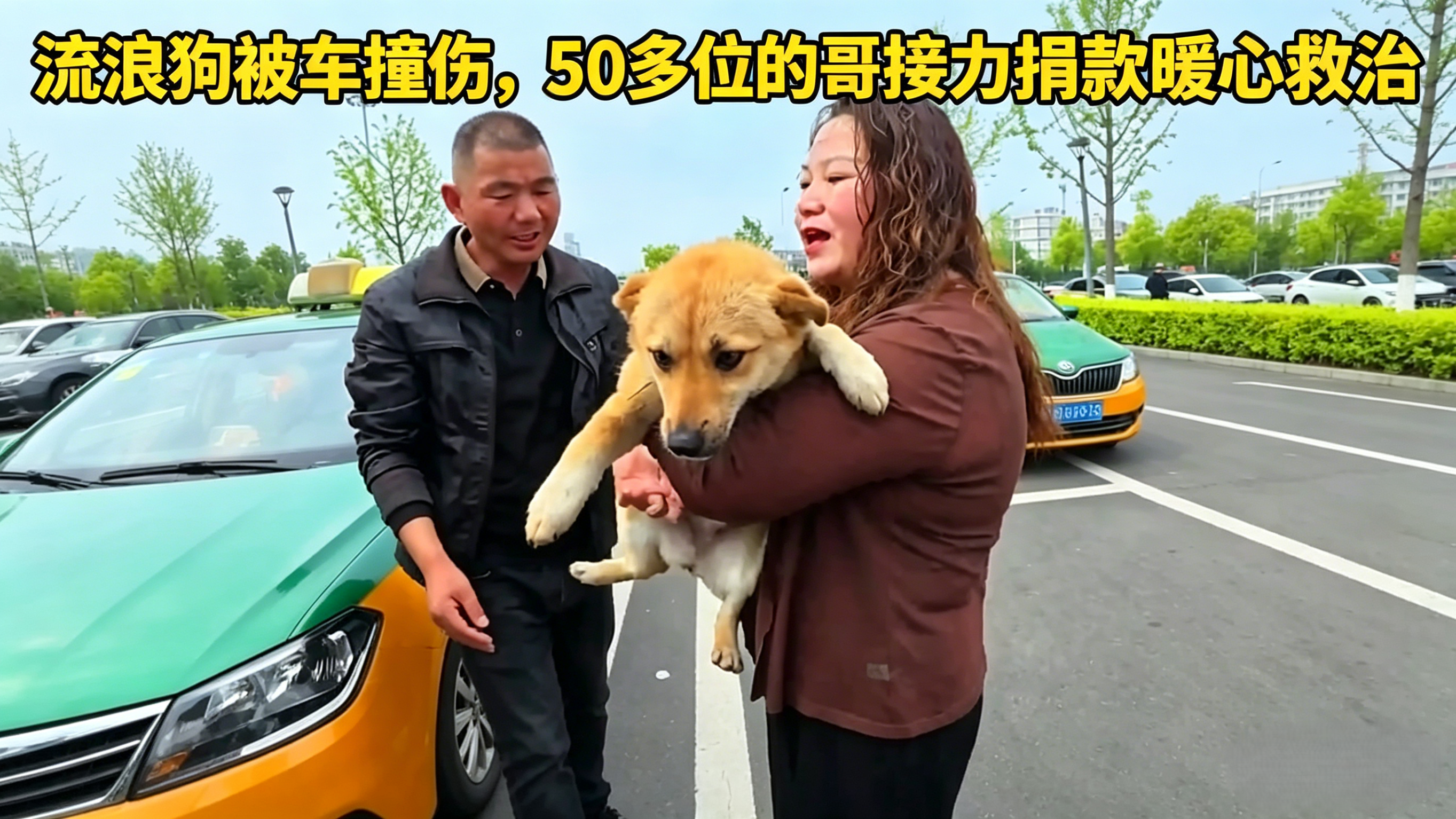 流浪狗被车撞伤，50多位的哥接力捐款暖心救治