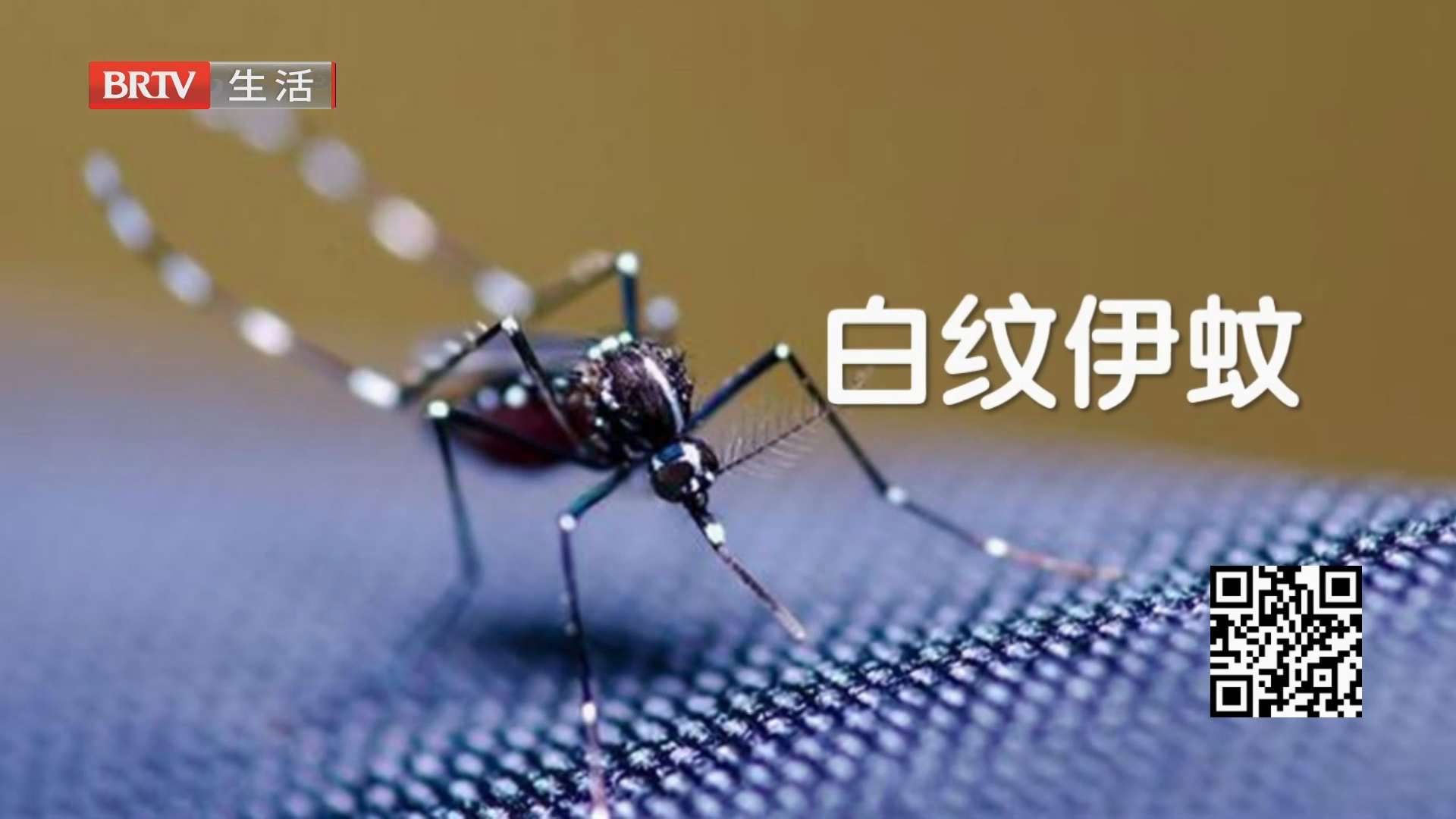 《生活这一刻》20260728 《生活这一刻》20260728