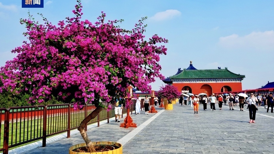 北京中轴线游、文博游火热! 国庆假期接待游客人数创历史新高! 北京中轴线游、文博游火热! 国庆假期接待游客人数创历史新高!