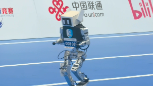 感动！小朋友与“小鼻嘎”双向奔赴