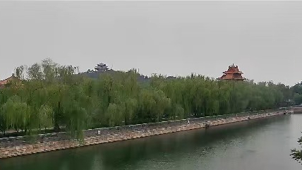 降雨+北风+降温，直击北京天气实况！