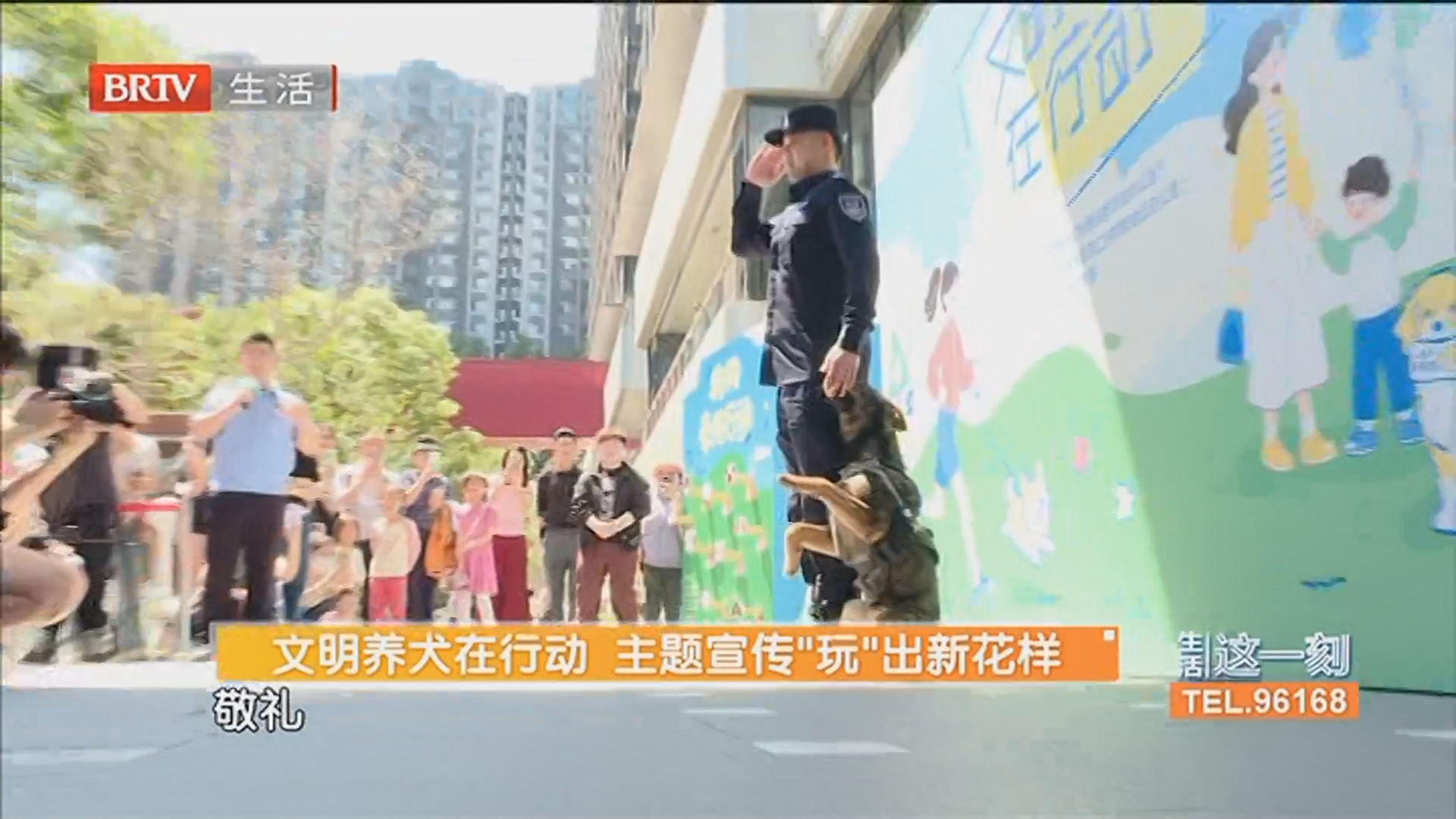 文明养犬在行动 主题宣传“玩”出新花样