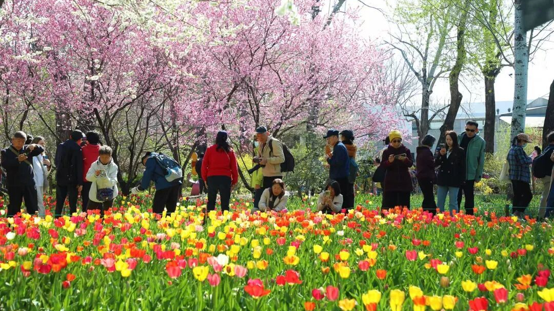 今天，北京公园迎客近59万人次！人气最高前三名有哪些