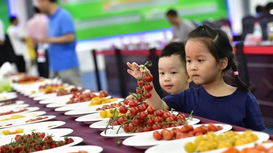 好神奇！副中心这里藏着一个“育种王国”！