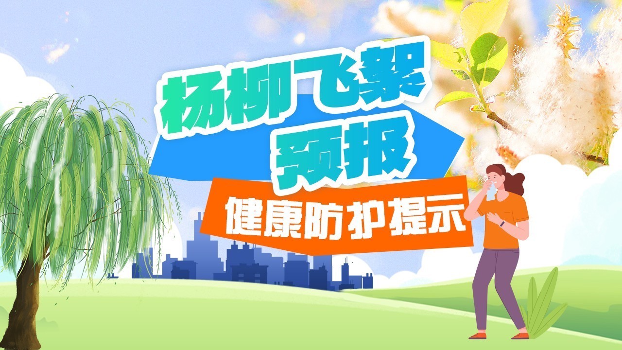 图个明白|杨柳飞絮预计将持续约50天!这些防护要点需了解→ 图个明白|杨柳飞絮预计将持续约50天!这些防护要点需了解→