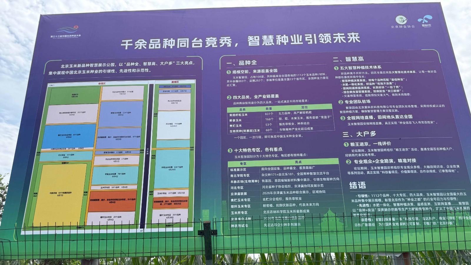 AI助力育种，一颗颗玉米种子从北京出发，落地成“金”！