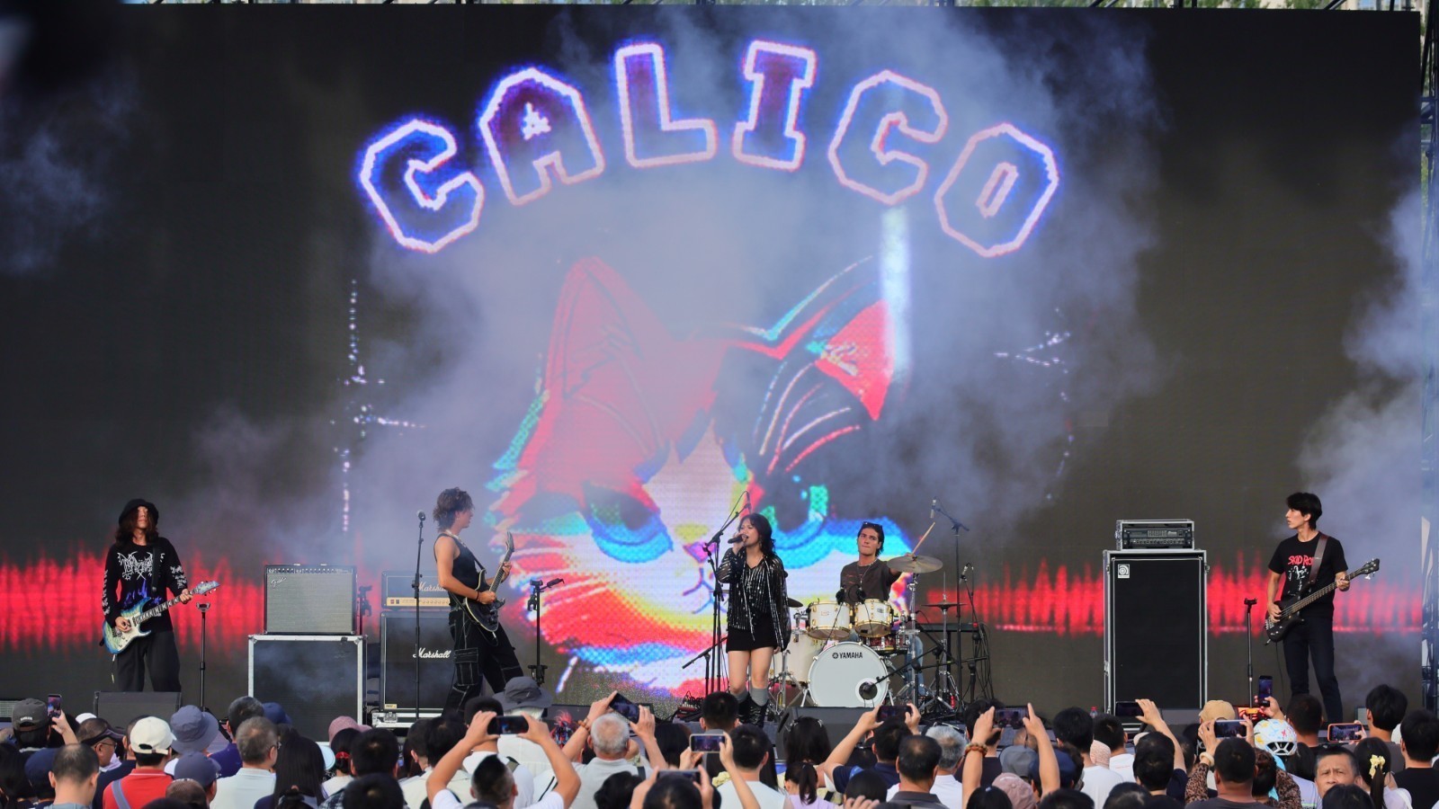 三花猫乐队 Calico  (中国/印度尼西亚/德国)