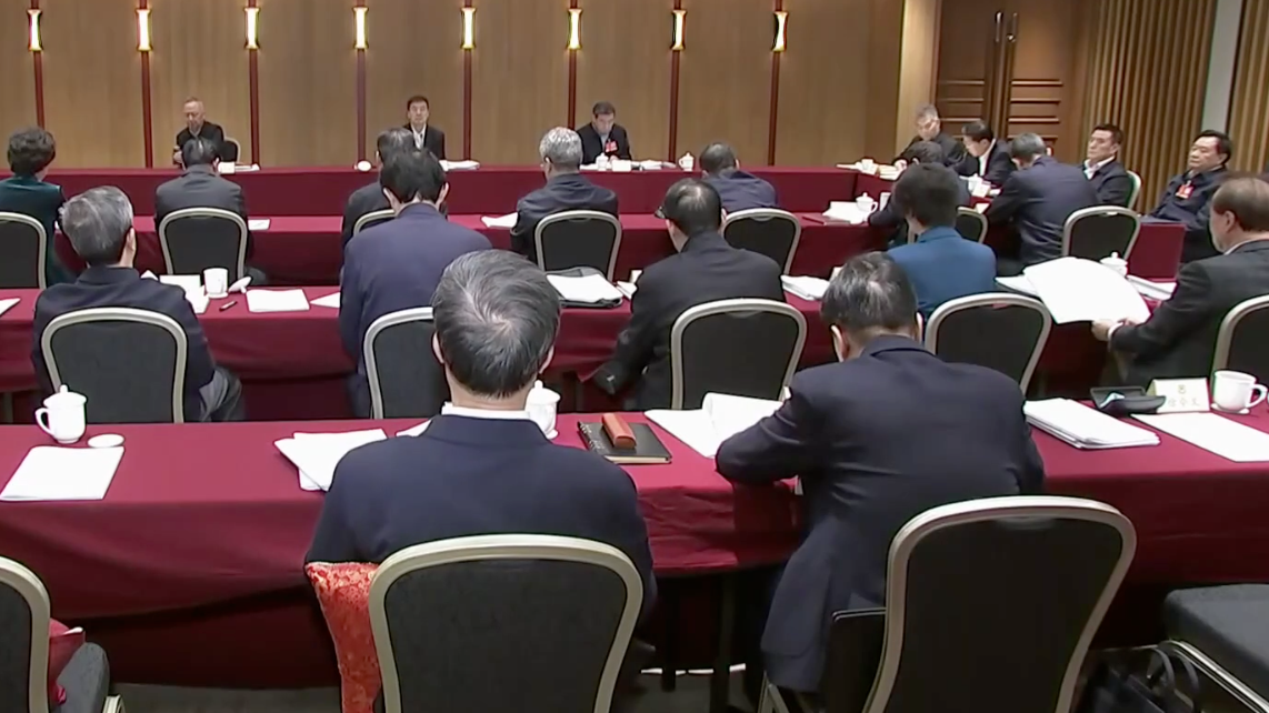 全国两会特别报道丨全国政协委员分组讨论政府工作报告