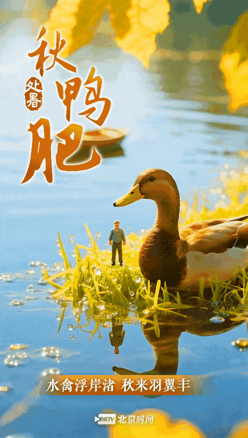 今日处暑|开启秋日“食”光,赴一场丰收美味之约_北京时间