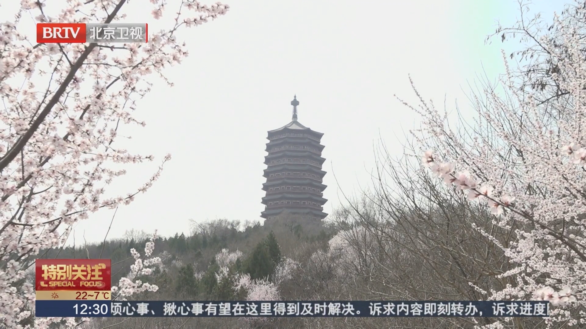 登高看花海 园博园永定塔正式开放