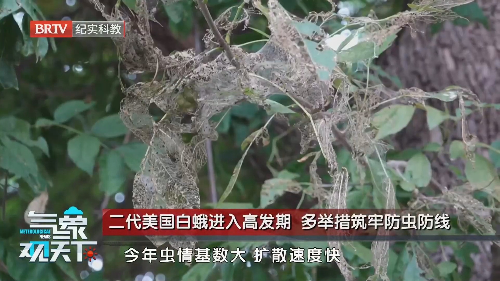 《气象观天下》20260914 《气象观天下》20260914