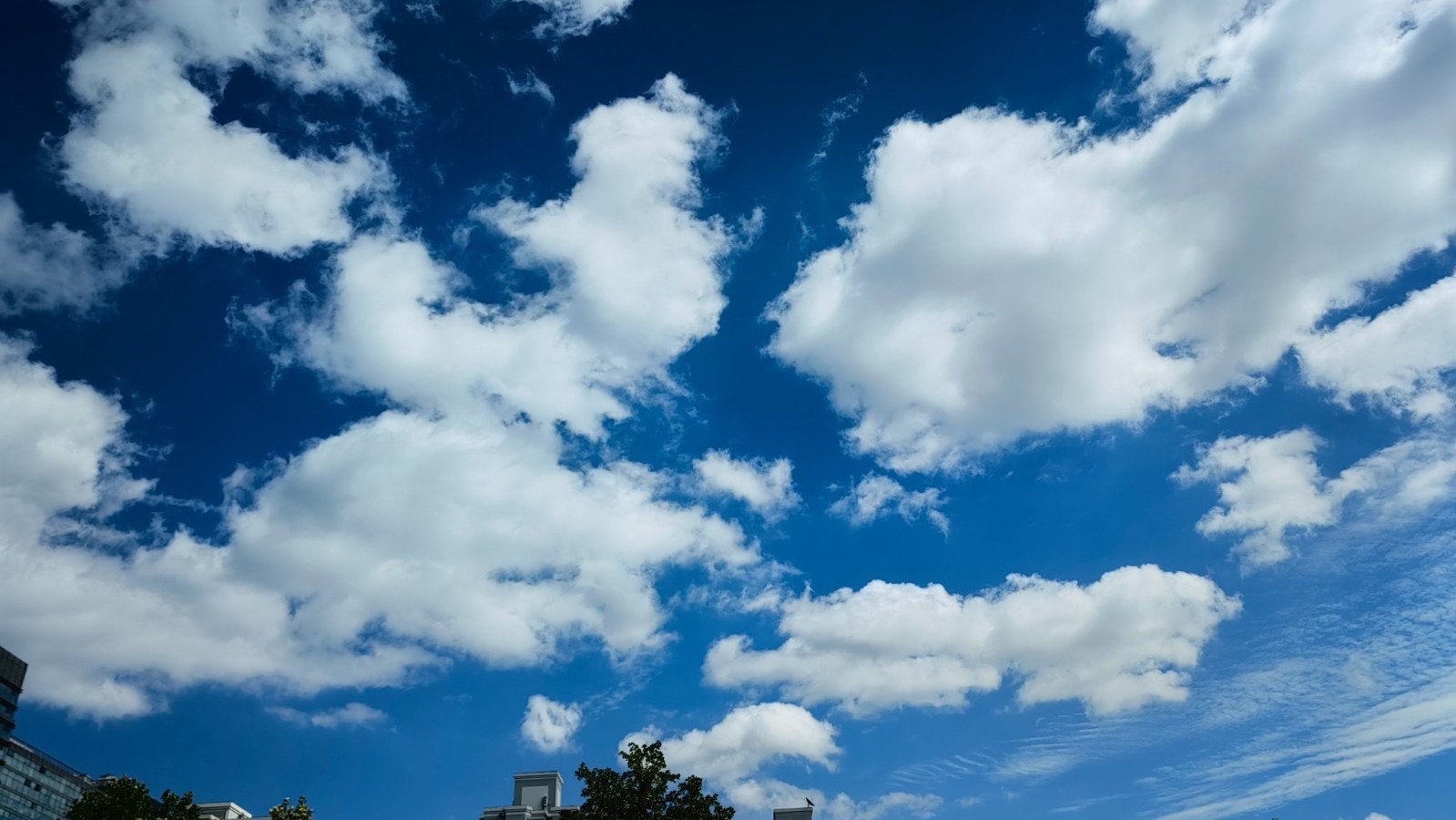多云天气为主 中秋夜或将上演“彩云追月” 多云天气为主 中秋夜或将上演“彩云追月”