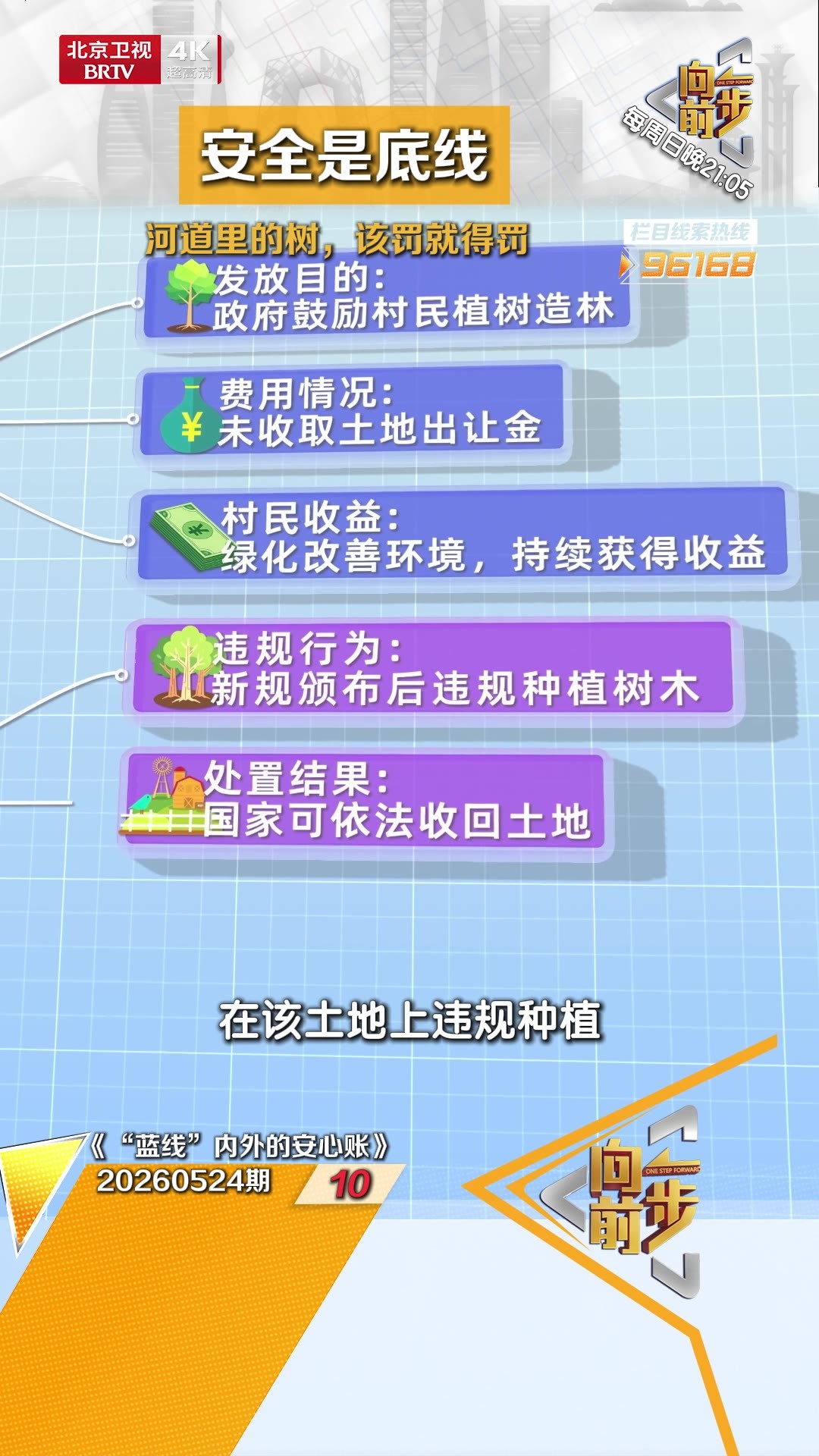 安全是底线 河道里的树，该罚就得罚。